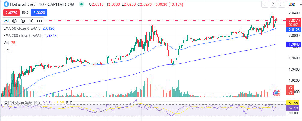 RSI indicator